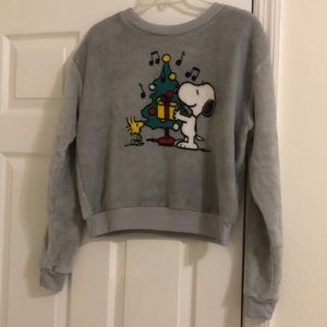 Snoopy/Charlie Brown Christmas/Holiday Sweater